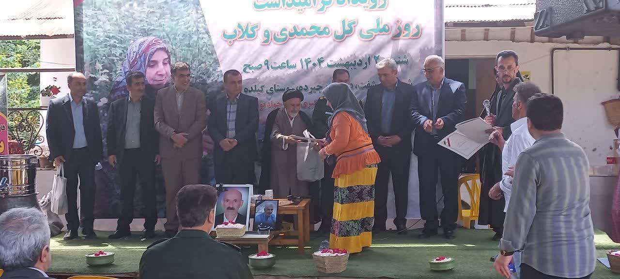 معاون سازمان جهاد کشاورزی استان: گیلان ۱۳۰ هکتار سطح زیر کشت گل محمدی دارد