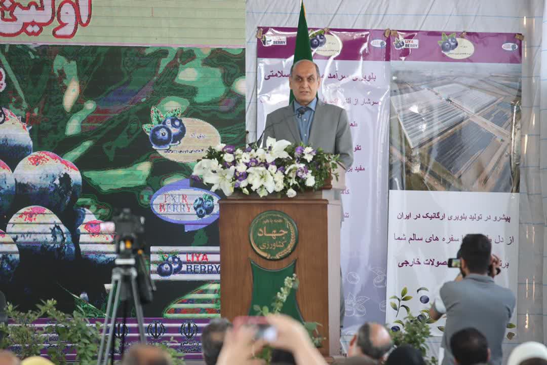 استاندار گیلان در اولین جشنواره ملی بلوبری تاکید کرد:     ظرفیت‌های اقلیمی گیلان، بستری مناسب برای توسعه کشاورزی دانش‌بنیان