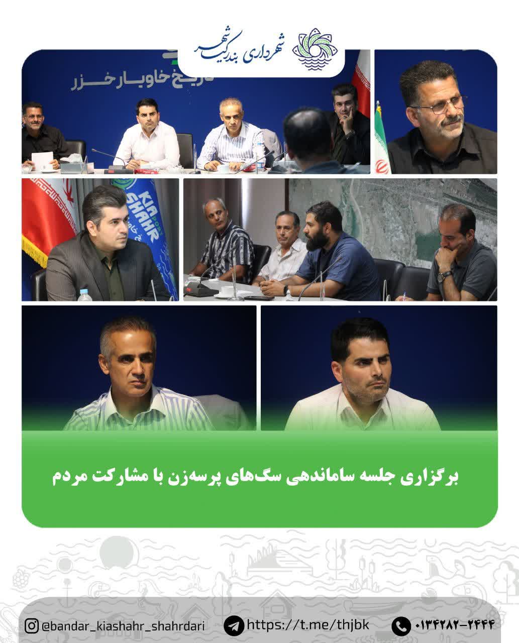 برگزاری جلسه ساماندهی سگ‌های پرسه‌زن با مشارکت مردم